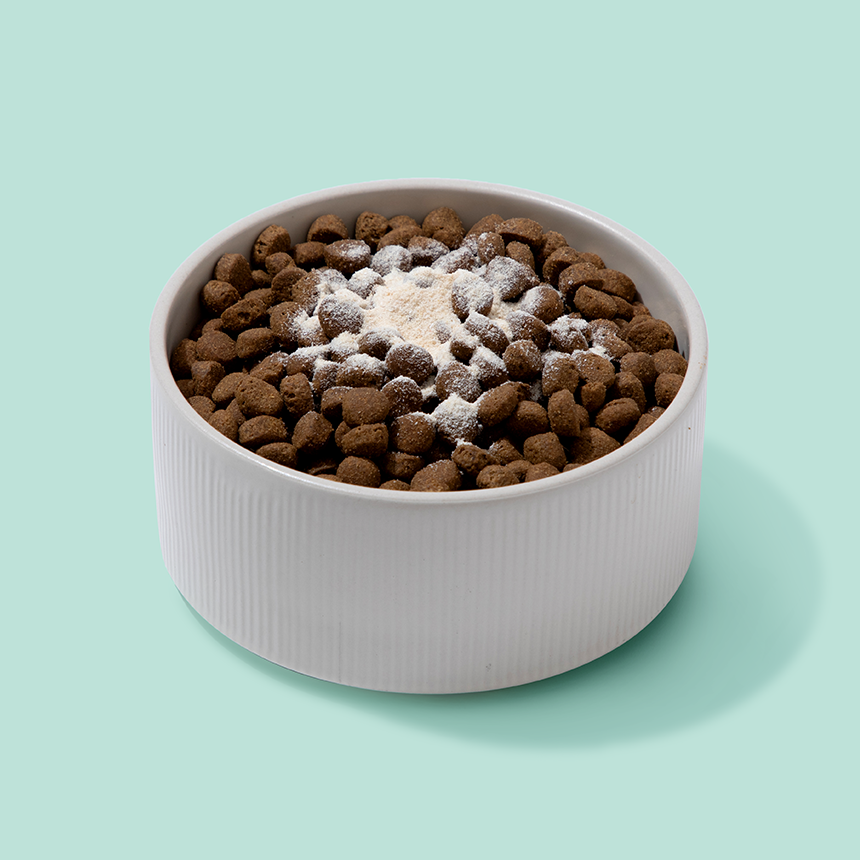 리브펫 스킨앤코트 고양이 강아지 피부 영양제 60g, 1개