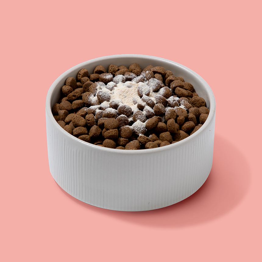 리브펫 조인트 고양이 강아지 관절 영양제 60g, 1개