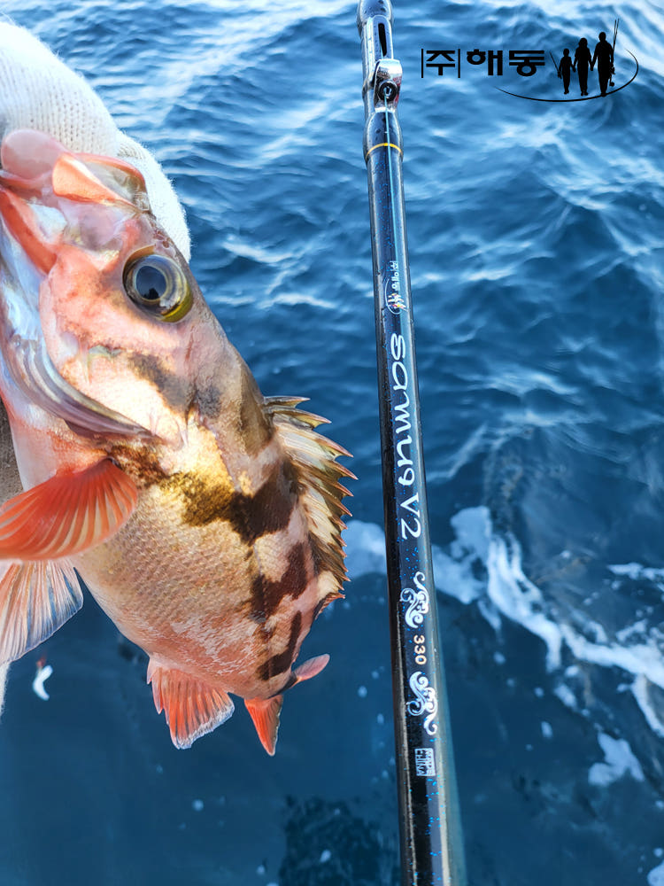 해동 사무이V2 낚시대 이미지