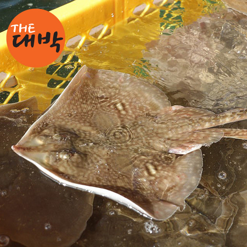 자연산 간재미 1kg 국내산 가오리 - 상세 이미지 5