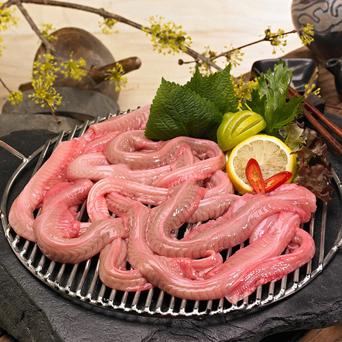 국내산 마산 산 손질 꼼장어 1kg 생물 수입 냉동 보양식 이미지 7