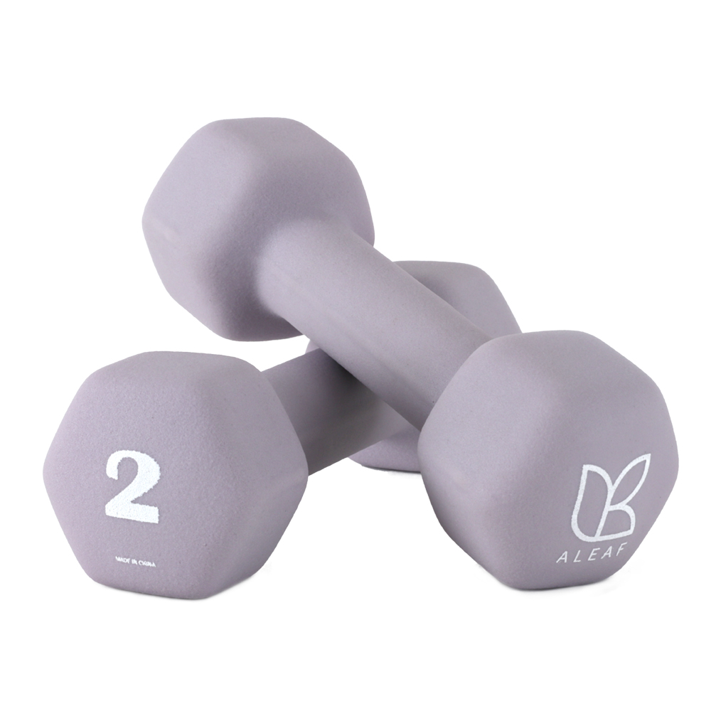 아리프 선인장 미용 아령 여자 홈트 덤벨 2kg, 2개, 코튼 라일락 제품 이미지