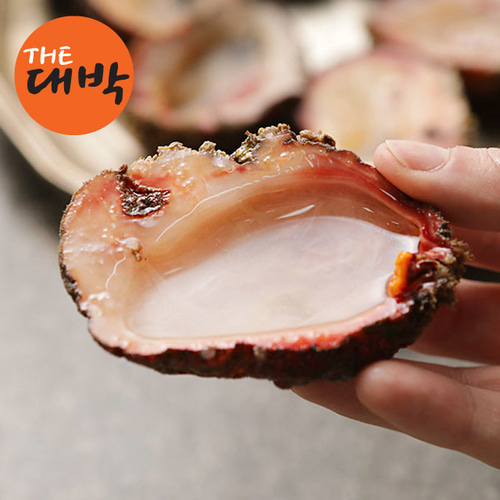 자연산 돌멍게 당일채취 1kg, 1개 - 상세 이미지 2