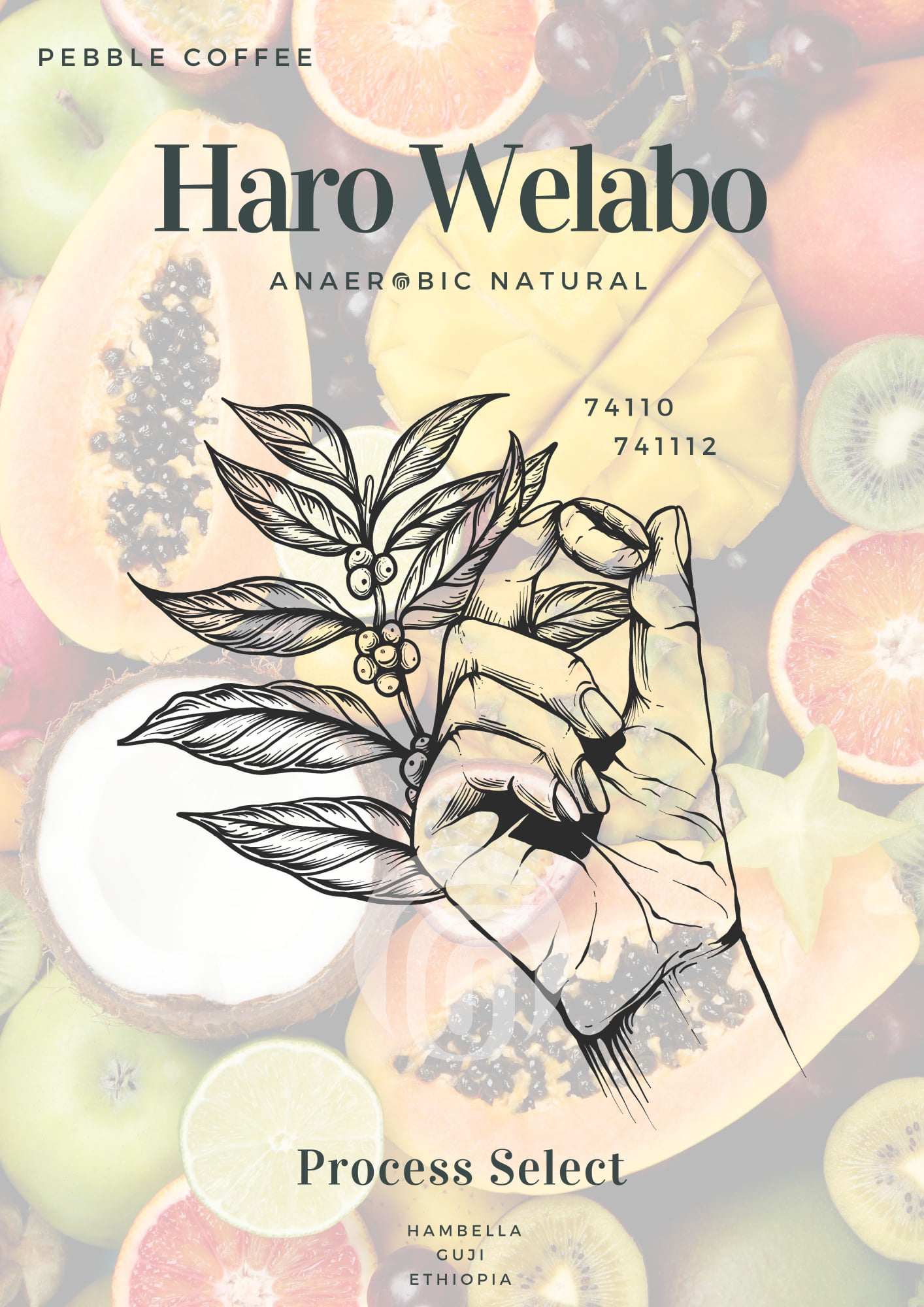 에티오피아 구지 함벨라 하로 웰라보 74110 & 74112 아나에어로빅 내추럴 G1 5KG (HARO WELABO 74110 & 74112 ANAEROBIC)