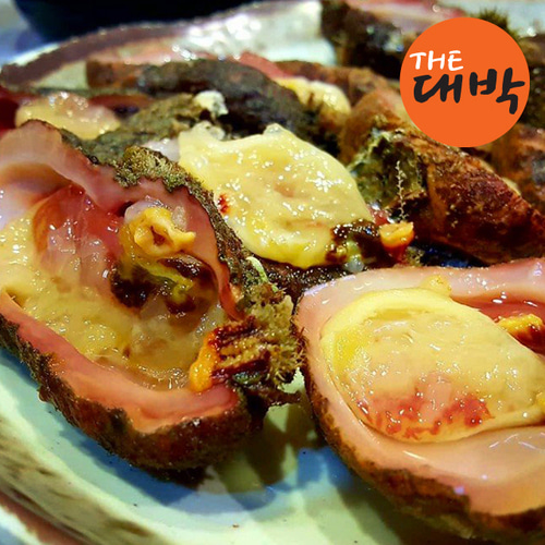 자연산 돌멍게 당일채취 2kg, 1개 - 상세 이미지 4