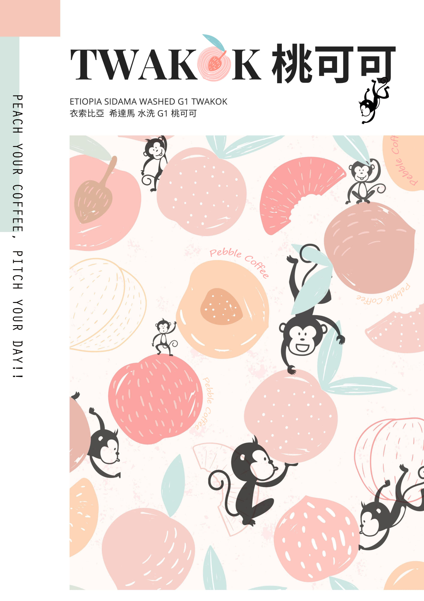 에티오피아 시다마 트와콕 워시드 G1 1KG (ETHIOPIA SIDAMA TWAKOK WASHED G1 1KG)