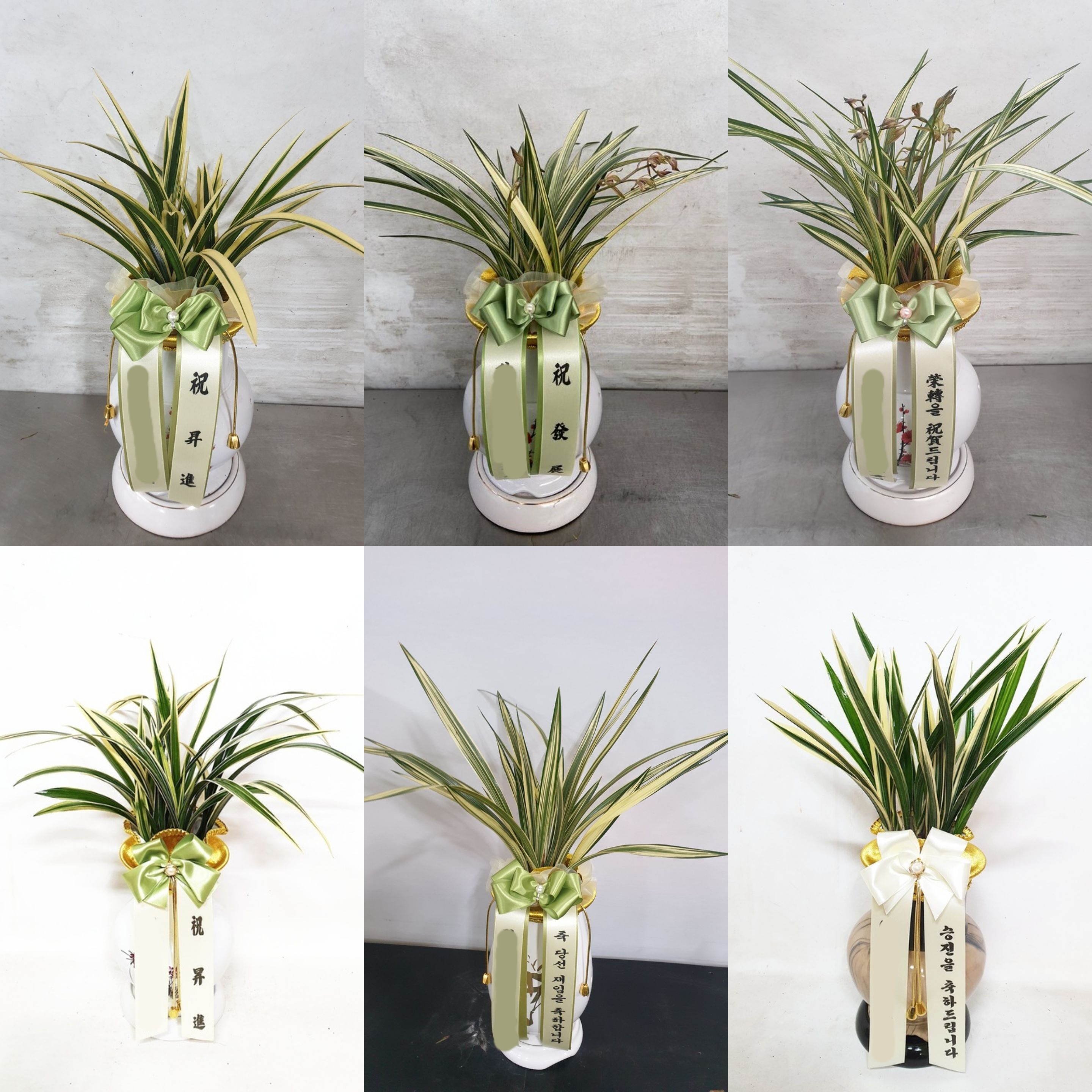 동양란 동양난 최고급 선물 난화분 난종류 승진 진급 취임 개업 사무실 인사이동 당일배송