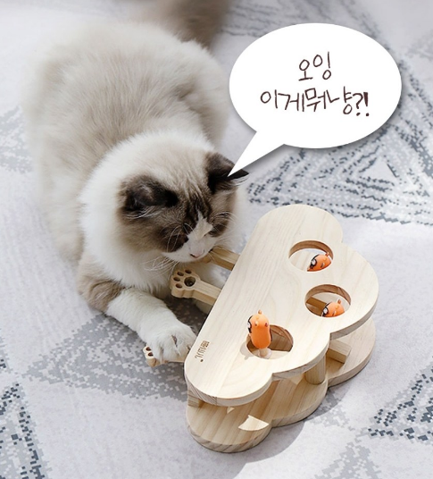 고양이 원목 장난감 두더지 사냥놀이 노즈워크 캣토이 5구 이미지 4