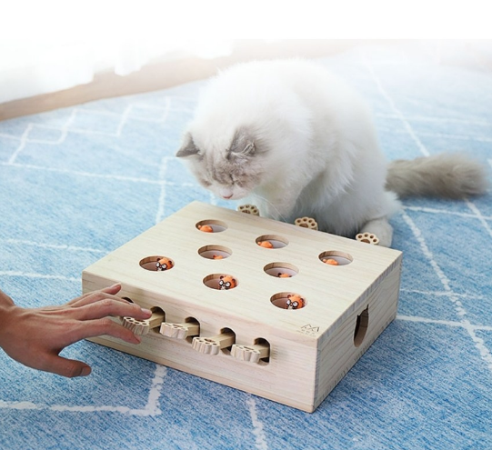 고양이 원목 장난감 두더지 사냥놀이 노즈워크 캣토이 5구 이미지 3