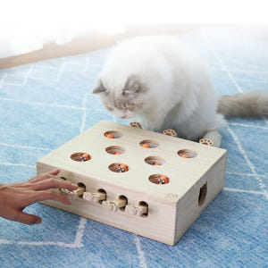 고양이 원목 장난감 두더지 사냥놀이 노즈워크 캣토이 5구 솔직 후기 | 실제 사용자 리뷰 총정리 - 상품 이미지 3