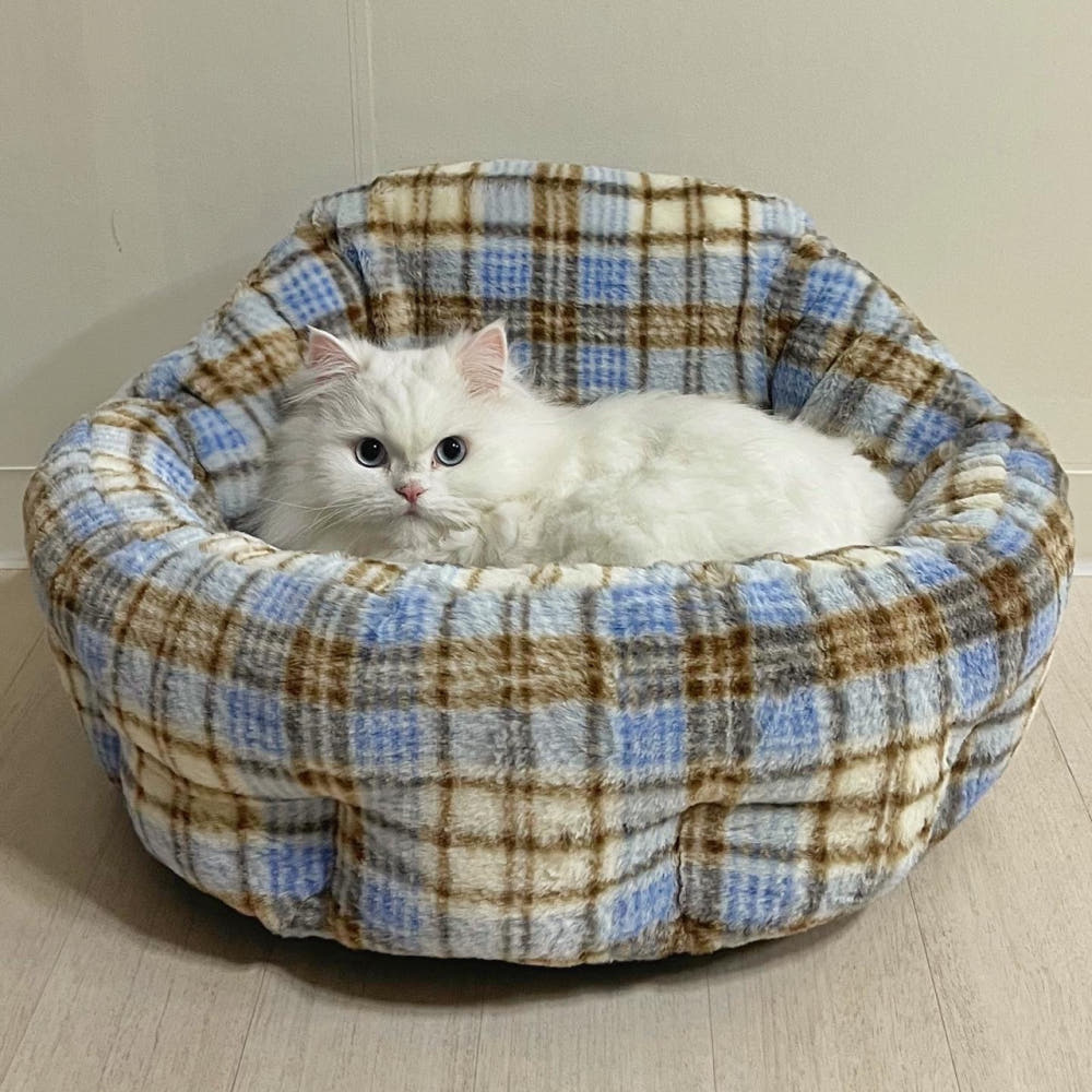 가티가티 숨숨방석