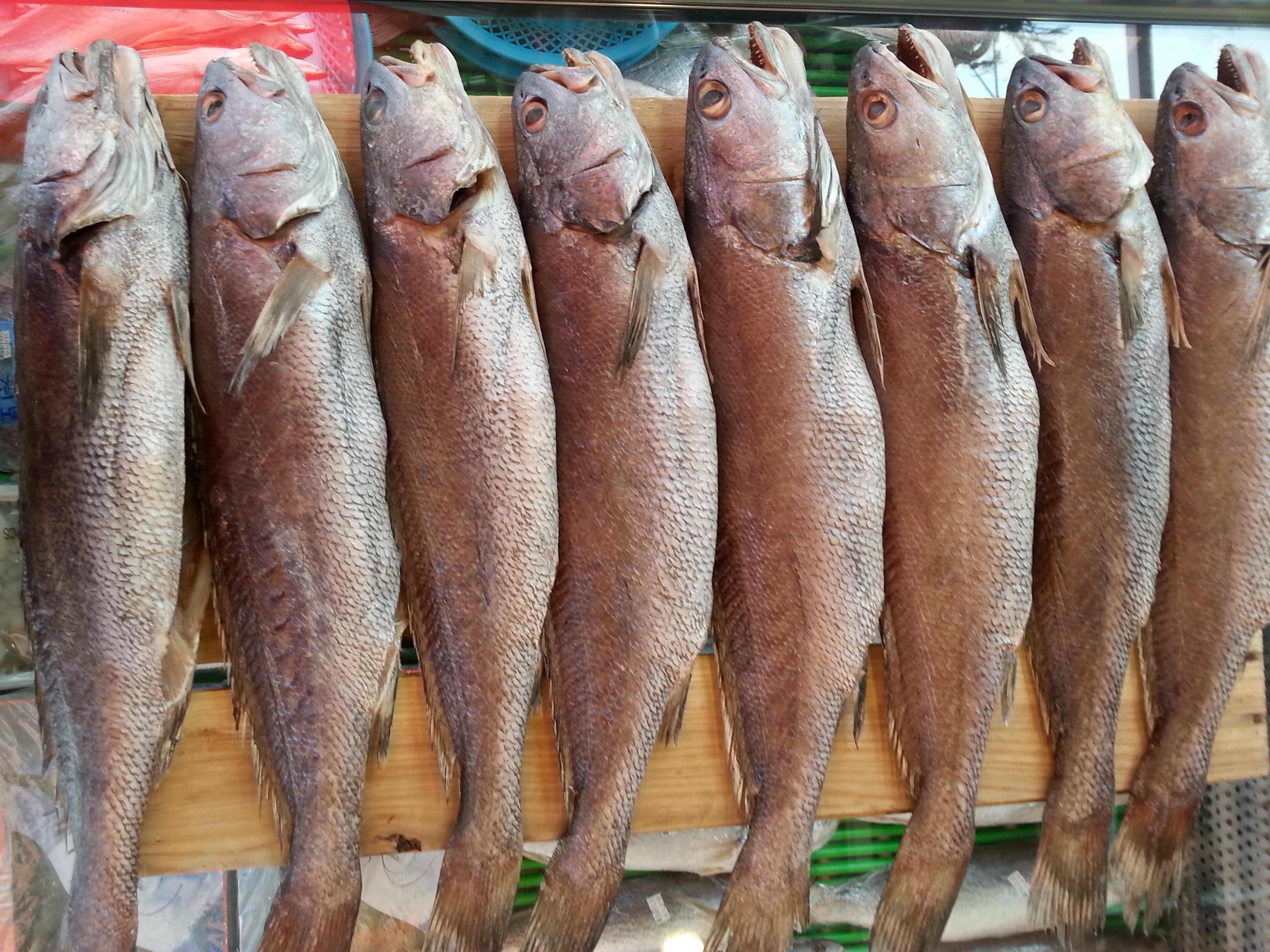 제수용생선 국산민어 35-36cm 생선맛집 싱싱수산 - 메인 이미지