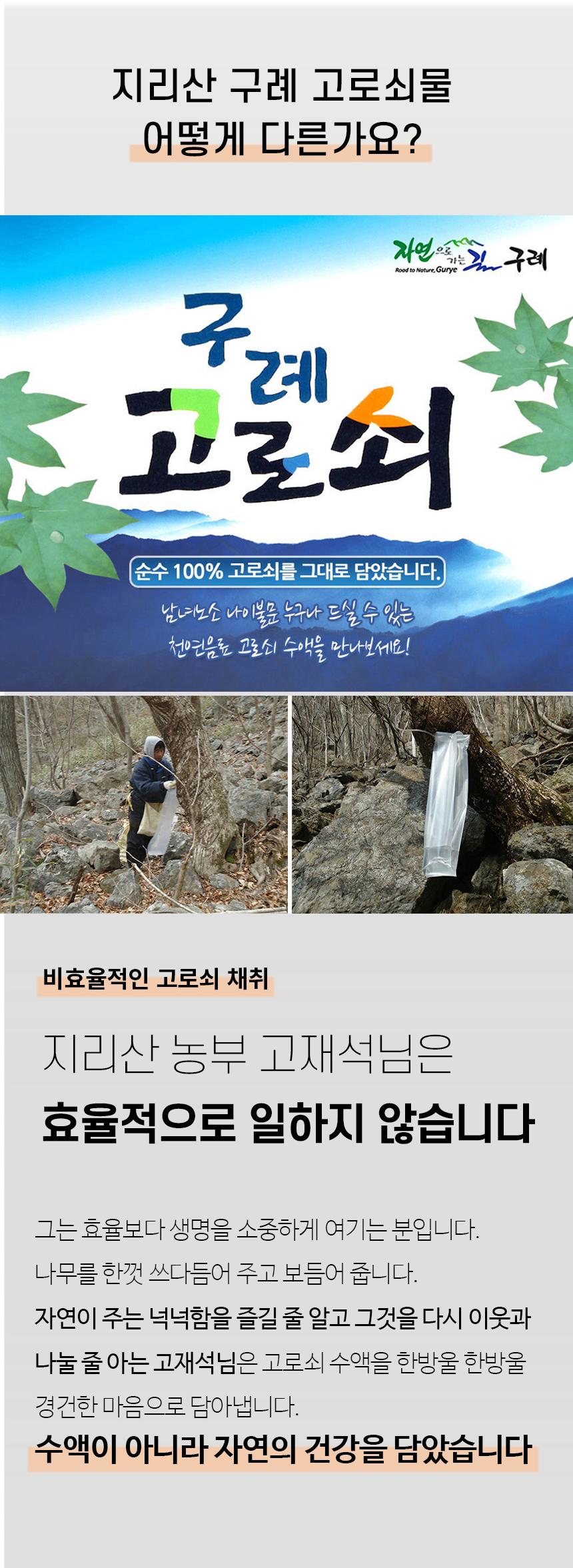 2022년 첫물 지리산 고로쇠수액 고로쇠물 1.5L 2병 4병 6병 구례 골리수 효능 - 구례로컬푸드