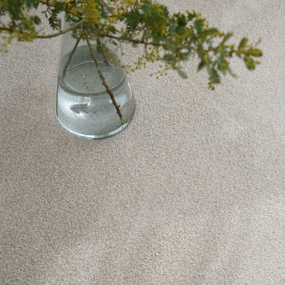 벨기에 AW 수입카페트 비바 단모 사계절 고급 거실러그 4색상 맞춤가능 150X200