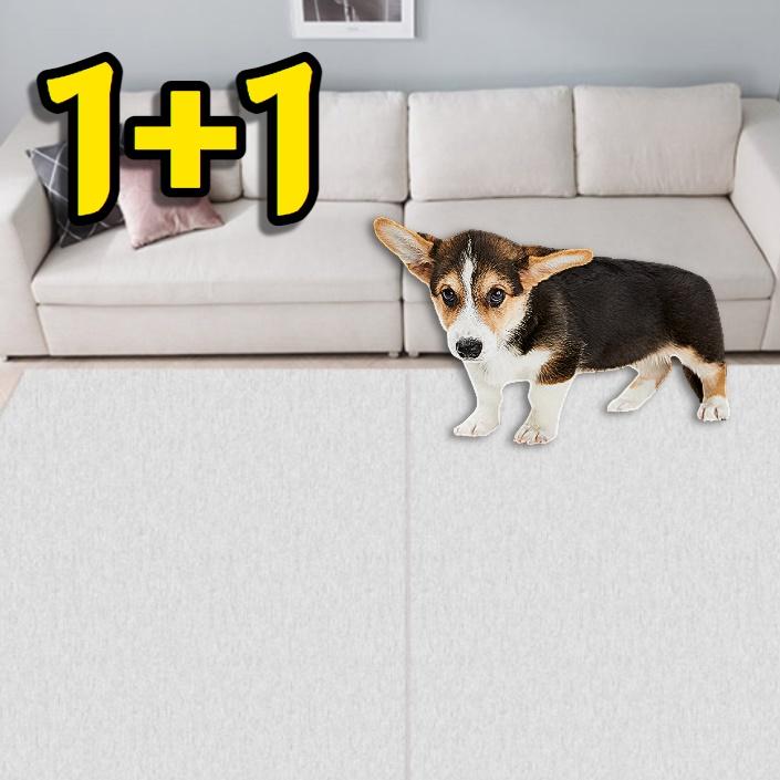 강아지 미끄럼 방지 장판 바닥 거실 애견 러그 애견 카페트