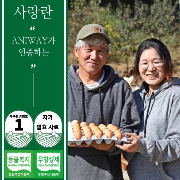 자연방목 무항생제 난각번호1번 이유식 환자식 고급 계란 동물복지 유정란 사랑란 20구 40구