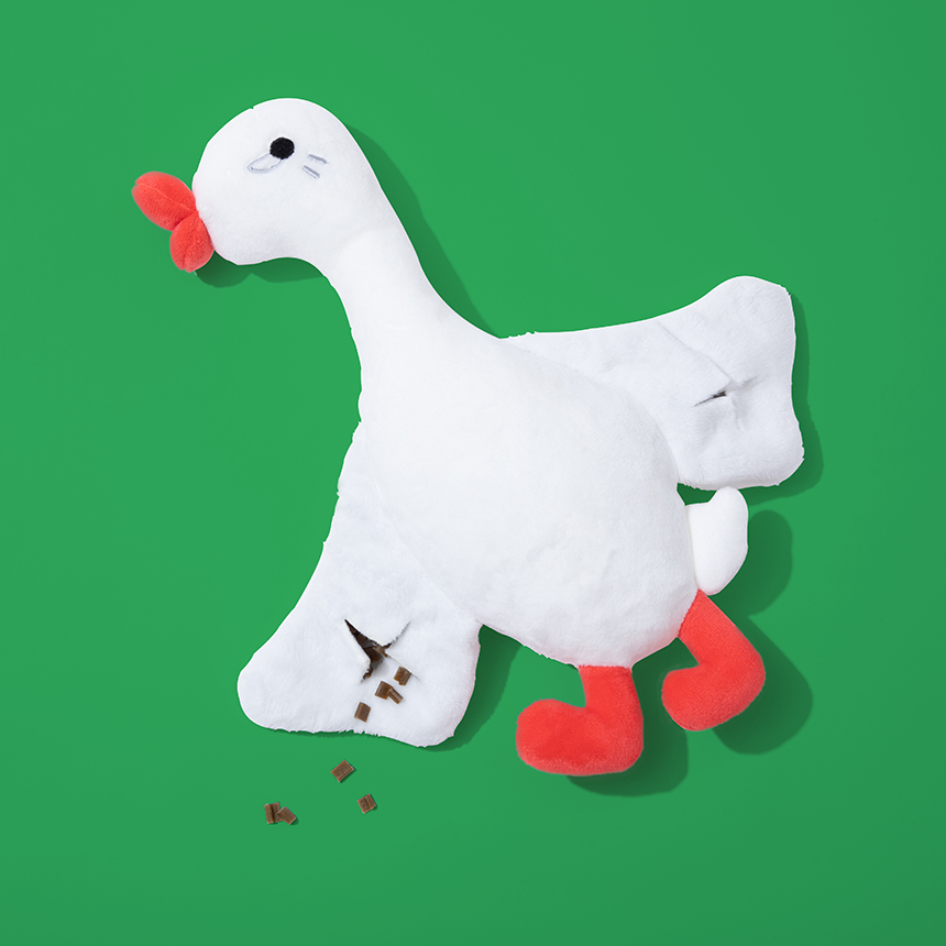 리브펫 덴탈핏츄 강아지껌 덴탈 치석제거 양치껌 170g, 1개