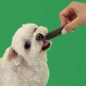 리브펫 덴탈핏츄 강아지껌 덴탈 치석제거 양치껌 170g, 1개 솔직 후기 | 실제 사용자 리뷰 총정리 - 상품 이미지 2