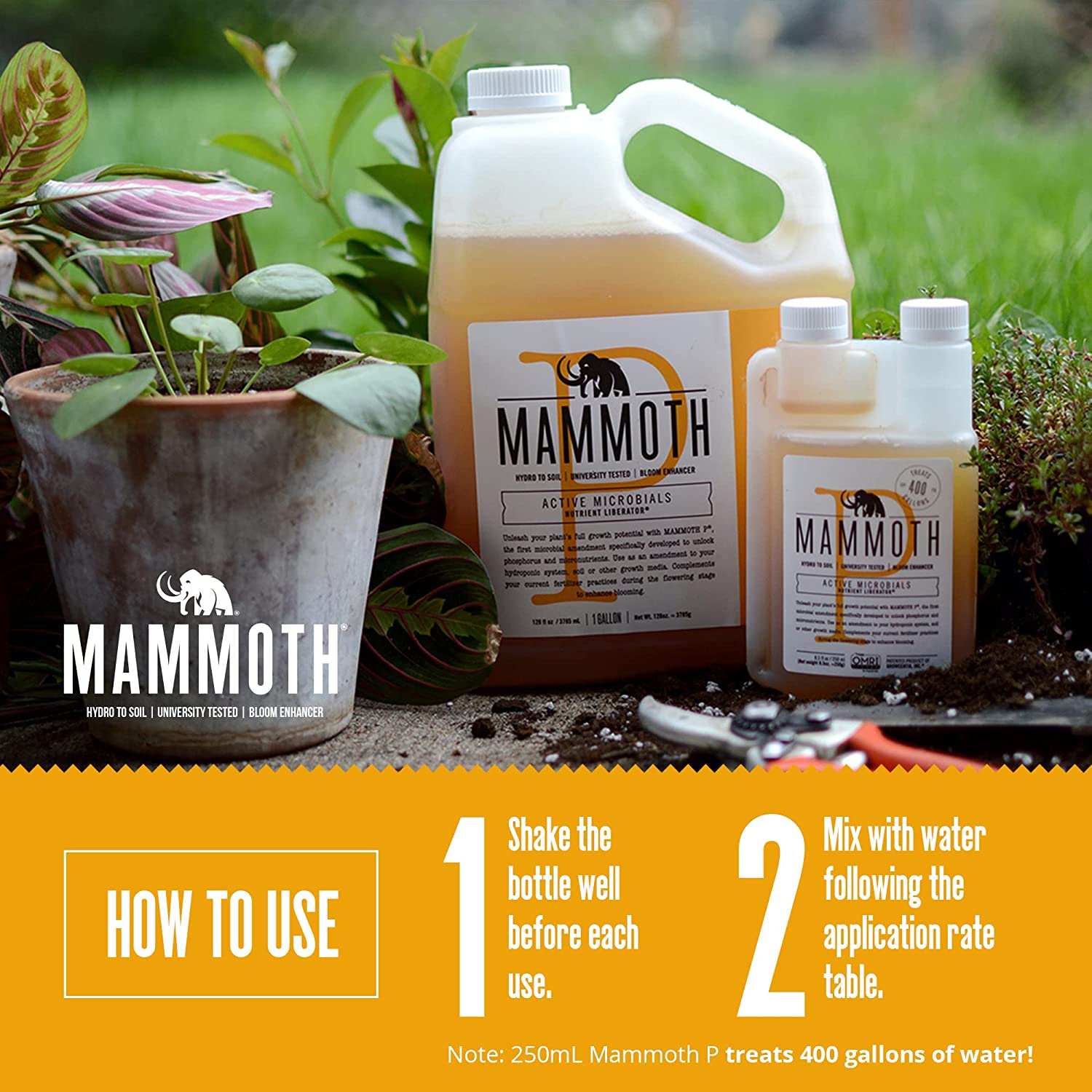 Mammoth P Organic Bloom Booster 사용 모습