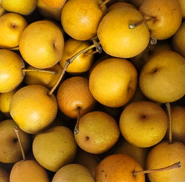 아기 어린이 배 도라지청 국산100% 보후진액베어300g