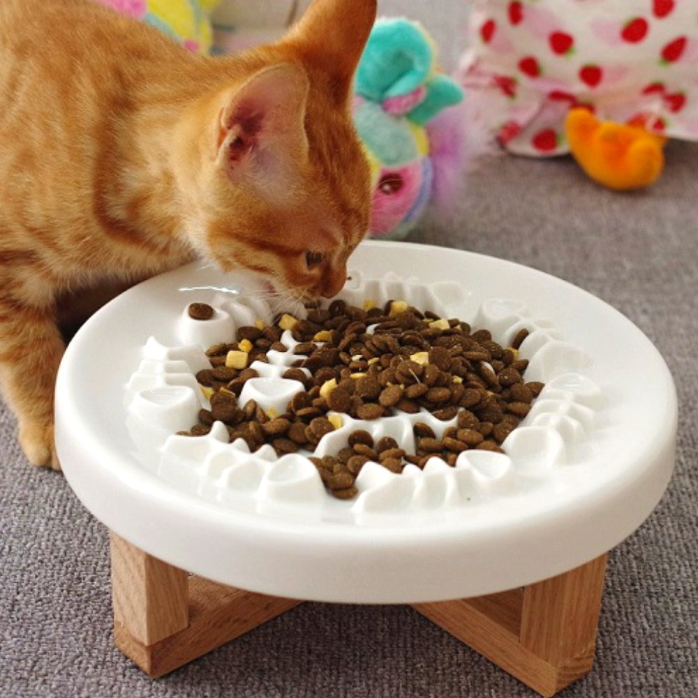 고양이 슬로우식기 강아지 급체방지 식기 밥그릇 식탁 세라믹