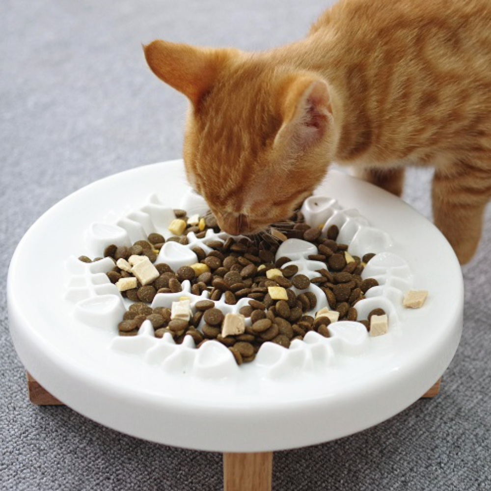 고양이 슬로우식기 강아지 급체방지 식기 밥그릇 식탁 세라믹