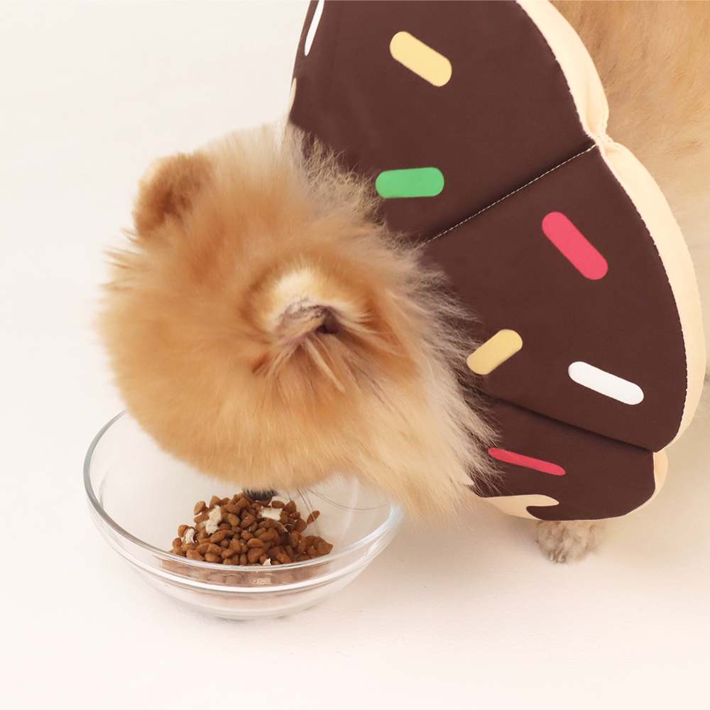 펫트리움 X 비마이펫 도넛 넥카라 3종 애견 중성화 목쿠션 보호대