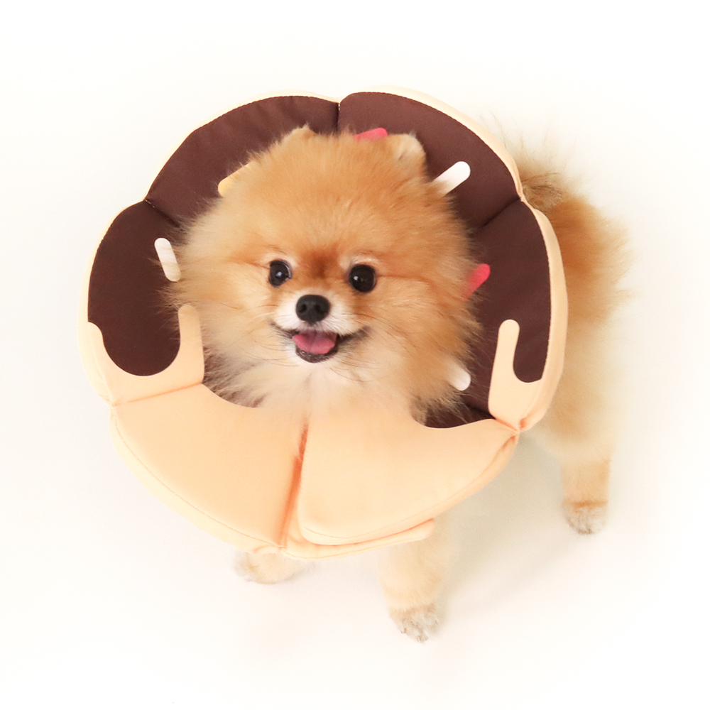 펫트리움 X 비마이펫 도넛 넥카라 3종 애견 중성화 목쿠션 보호대