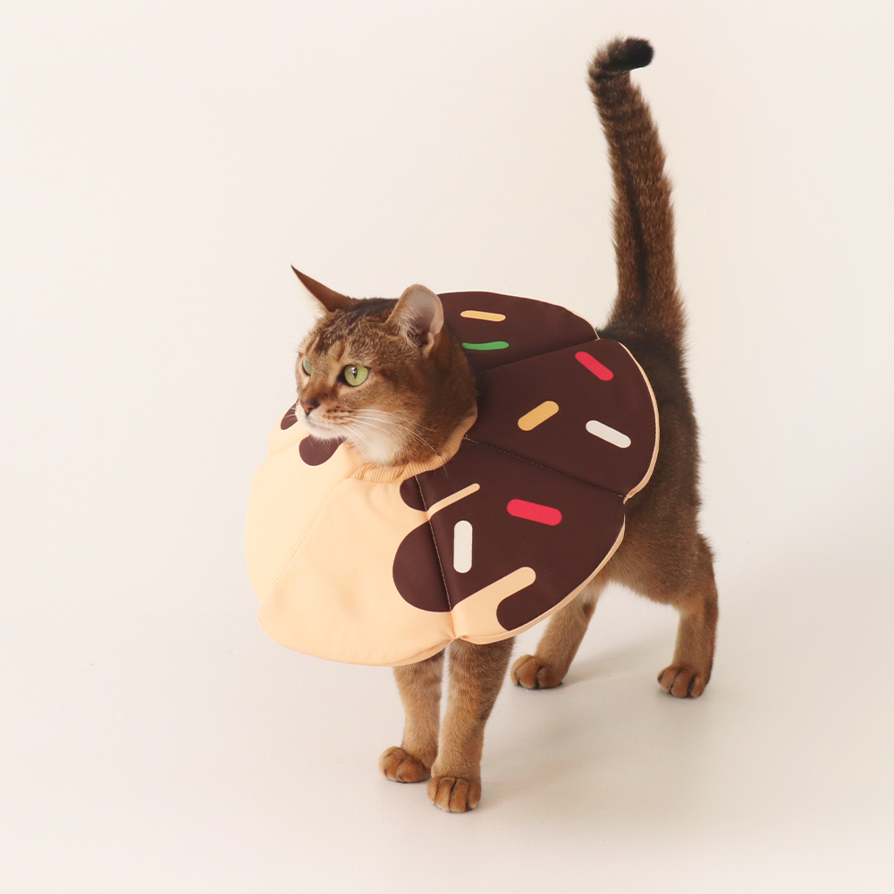 펫트리움 X 비마이펫 도넛 넥카라 3종 애견 중성화 목쿠션 보호대