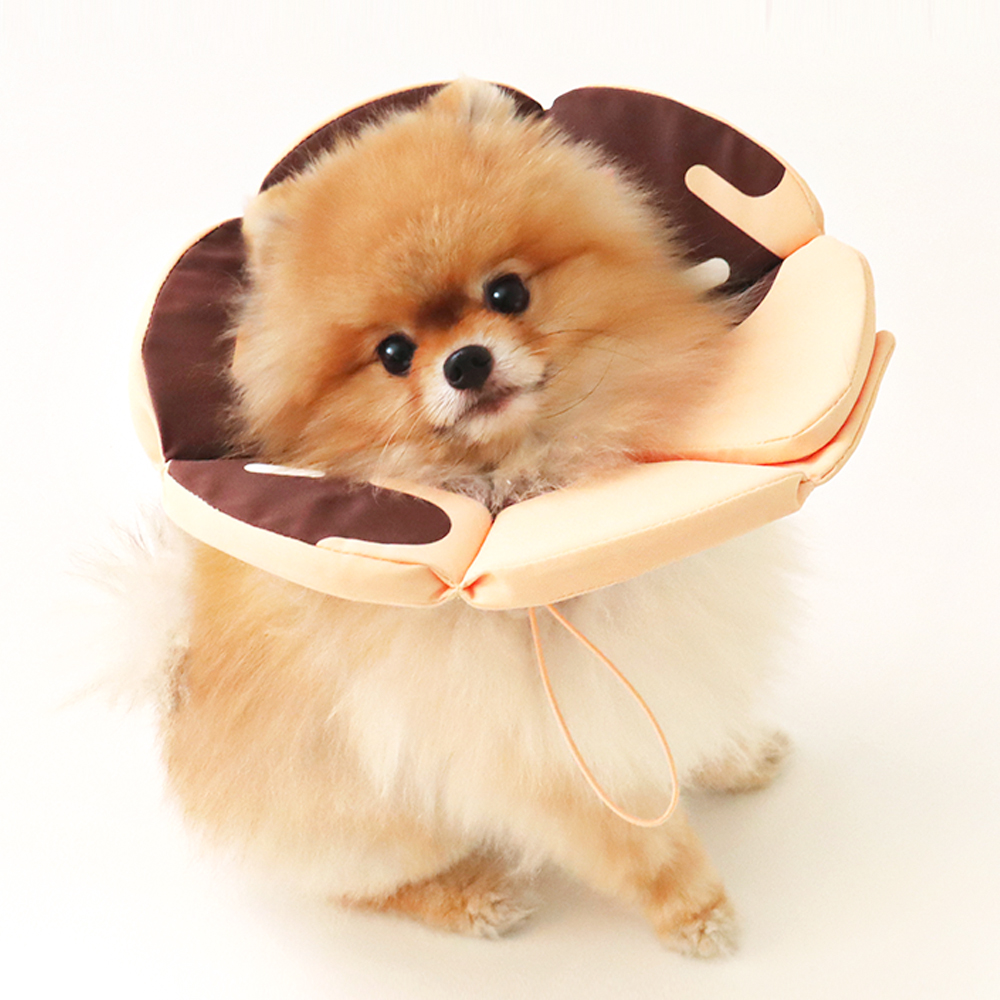 펫트리움 X 비마이펫 도넛 넥카라 3종 애견 중성화 목쿠션 보호대