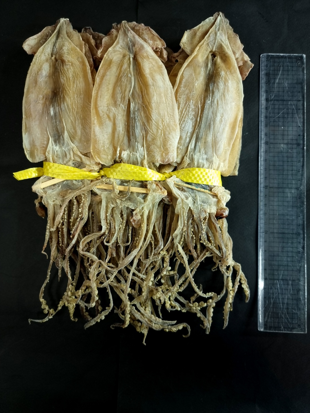 국산 강원도 속초 당일바리 마른오징어 (5마리 / 10마리) 해외진공포장옵션 - 상세 이미지 4