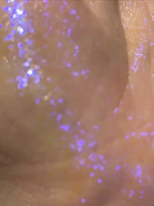 쉬글램 글리터 위자드 섀도우 펄날림없는 미국 퍼플 글리터 Purple glitter - 상세 이미지 2