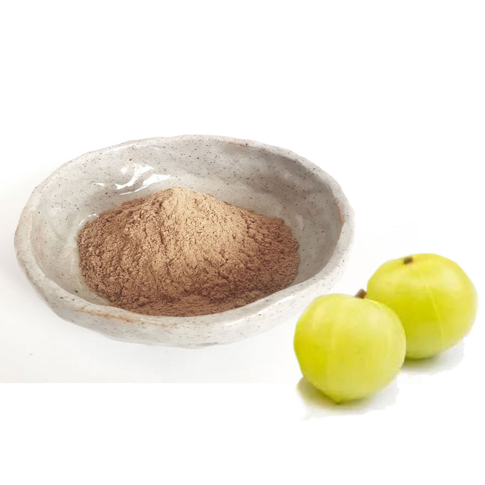 골든포션 천연 암라 Amla 가루 파우더 100g 두피 헤어팩용 - 상세 이미지 5