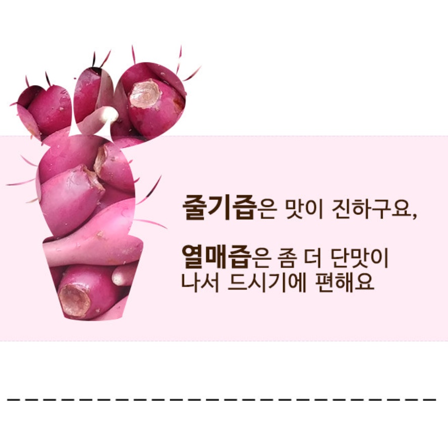 김천 천년초즙 천년초 열매 줄기 엑기스 액기스 선인장즙 - 상세 이미지 4