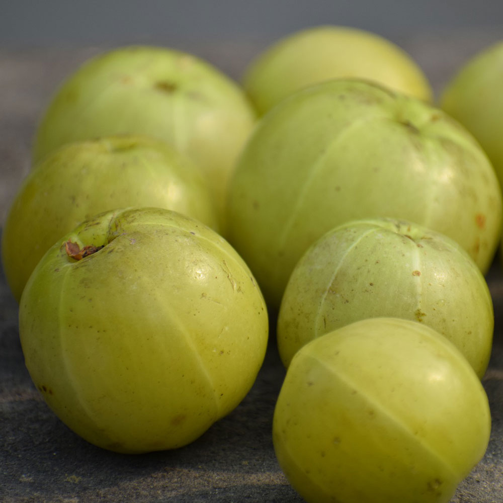 골든포션 천연 암라 Amla 가루 파우더 100g 두피 헤어팩용 - 상세 이미지 4