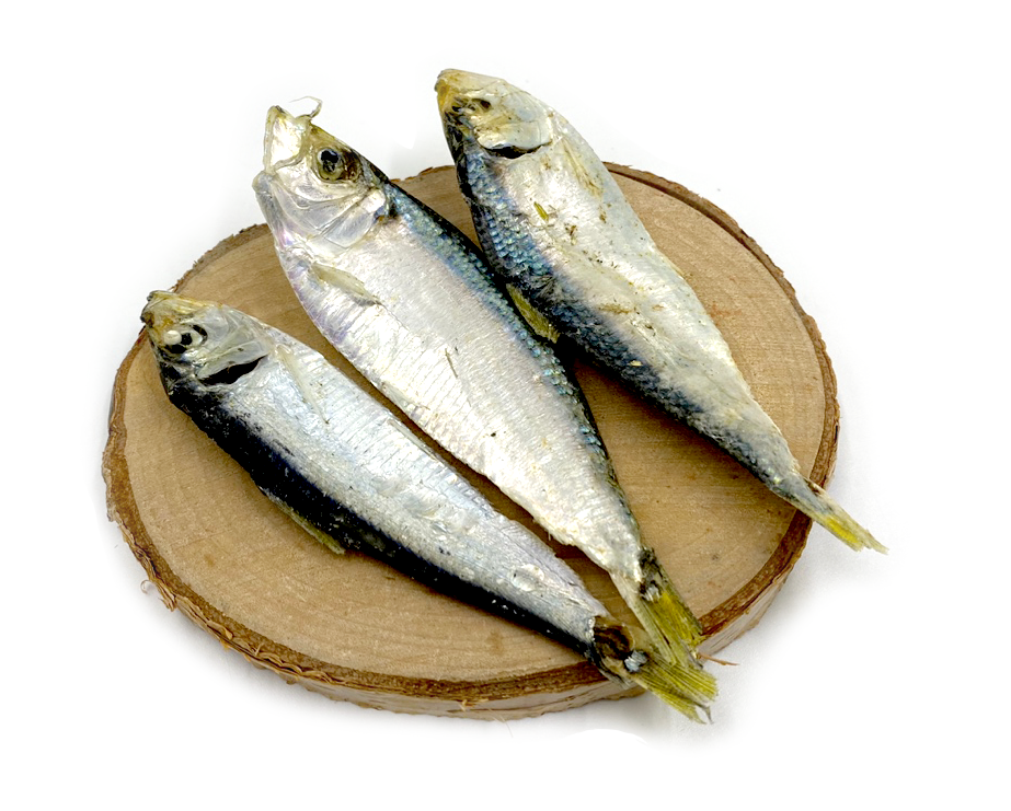 국내산 바보 디포리 250g / 남해산 - 상세 이미지 3