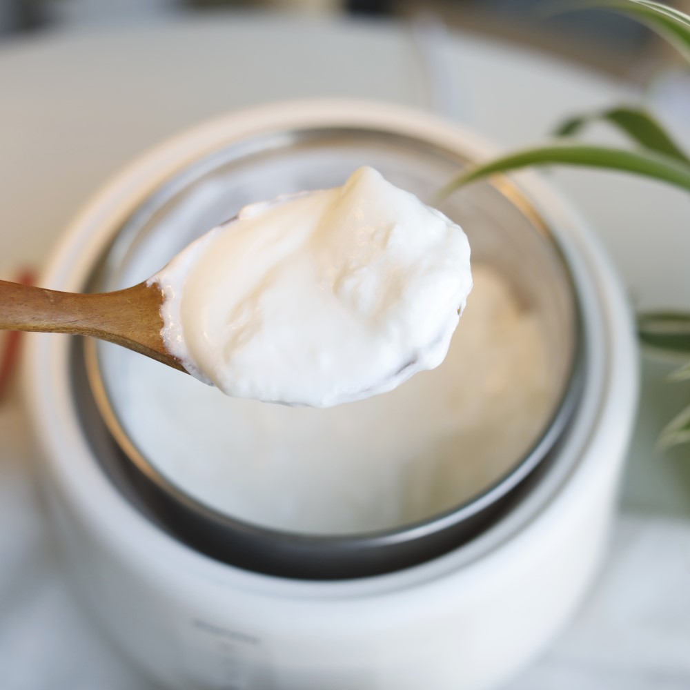 단미 요거트메이커 요구르트 그릭요거트 유산균 수제 기계 제조기 요플레 만들기 YOM01