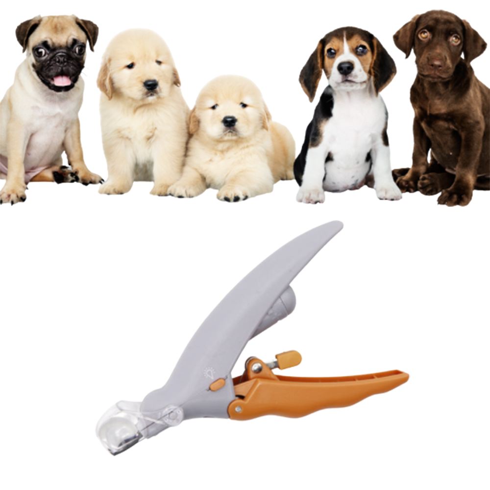 LED 강아지 고양이 발톱 깎기 깎이 손톱 애견 가위 자르기 대형견 깍기 소형견 중형견 - 상품 이미지