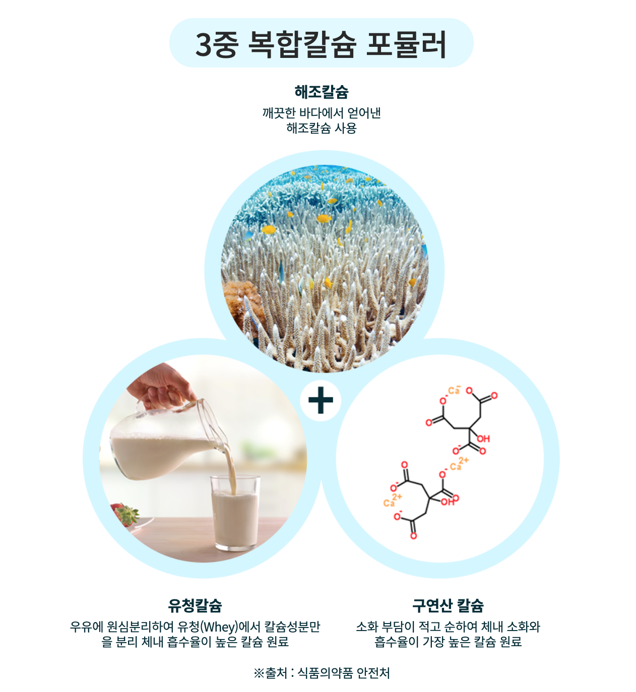 뼈건강 칼슘마그네슘 240정 비타민D 무부형제 칼슘 섭취 영양제 - 상세 이미지 5