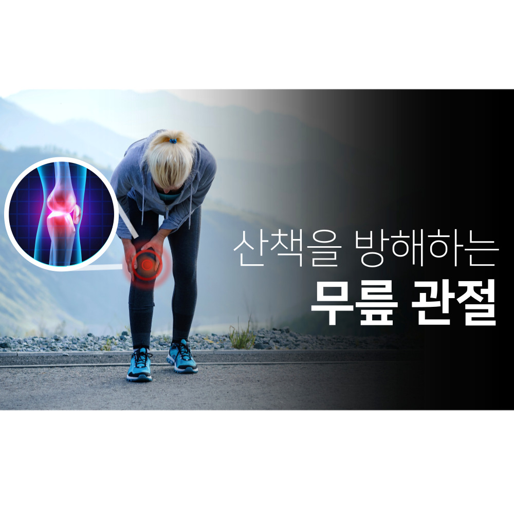 트루원즈라이프 msn 콘드로이친 무릎관절 엠에스엠 4개월분 보궁 이미지 2