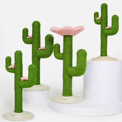 고양이가 사용하는 선인장 캣타워