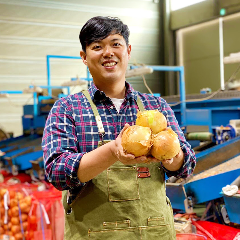산지직송 국내산 단단한 햇 만생양파 2.5kg - 상품 이미지