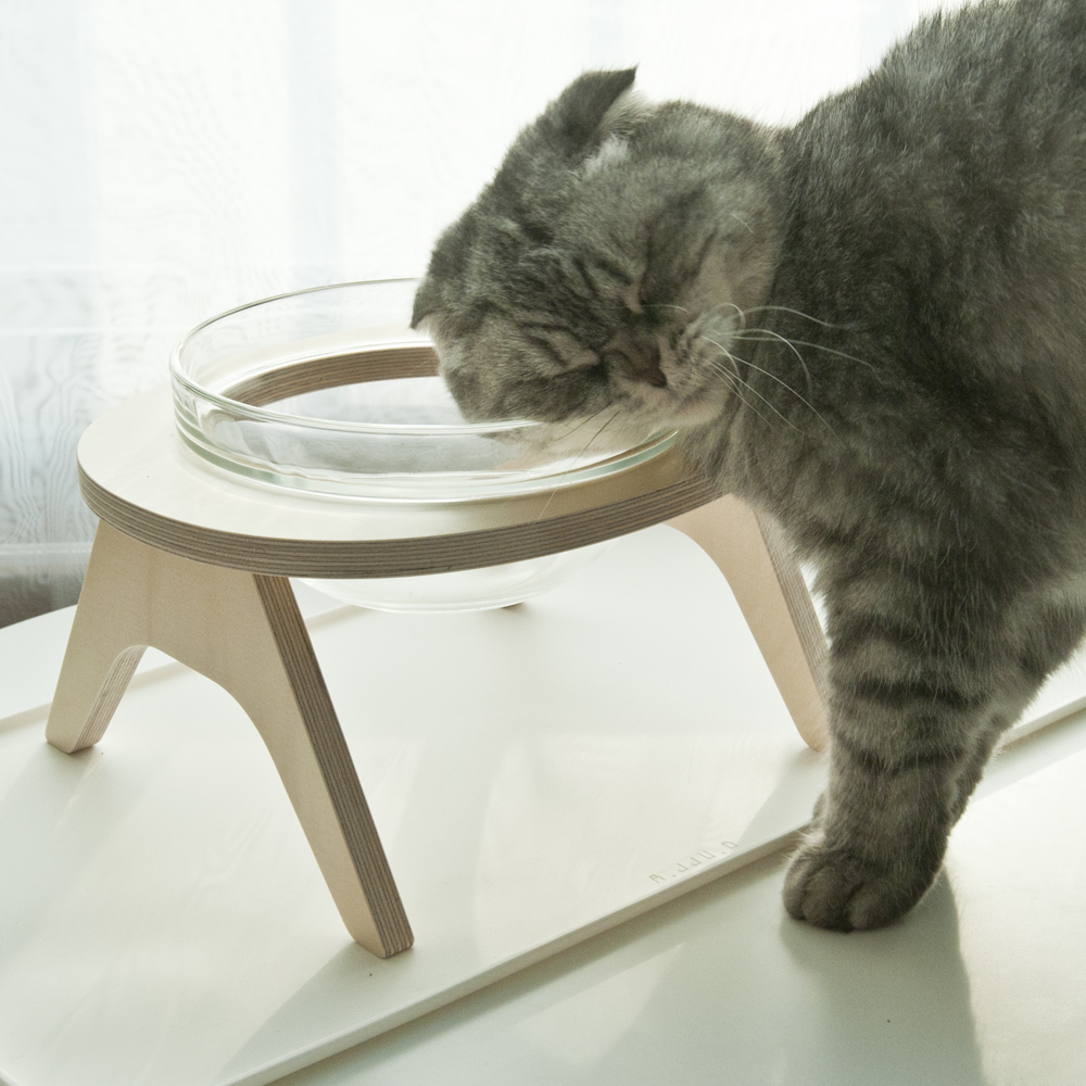 아쭈 고양이 물그릇 수반 강아지 밥그릇 유리식기 대형 세트