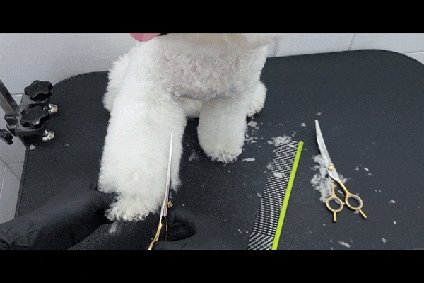실버라인펫 KUTC KUTS KUTT 강아지 국민 톱니가위 17.5cm(7인치) 3종세트 판매처 상세 정보 이미지 4