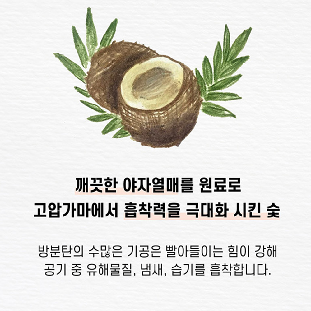 피톤치드 새집증후군 방분탄 2kg 새가구 집냄새제거 페인트 홀아비 반영구제습제 - 상세 이미지 3