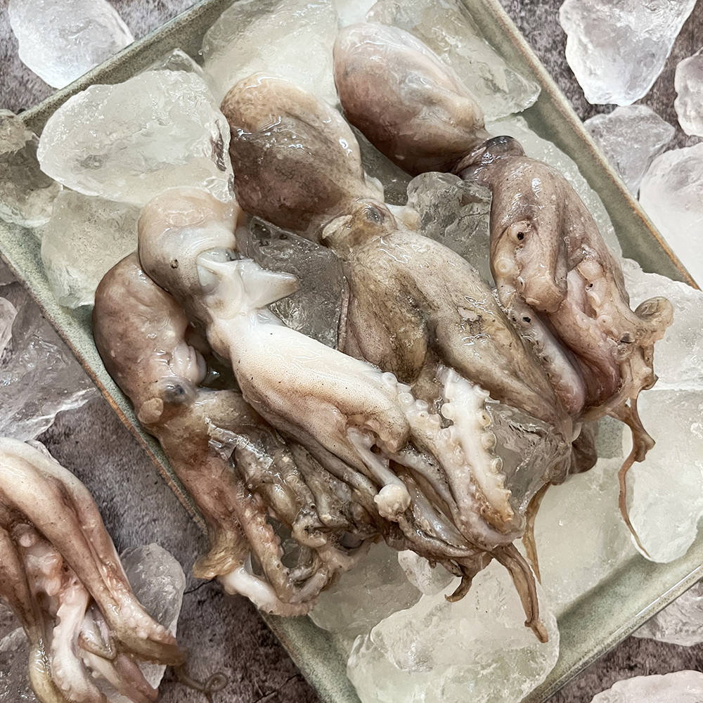 국내산 서해안 봄 활쭈꾸미 급냉 알배기 알 쭈꾸미 주꾸미 1kg 이미지 7