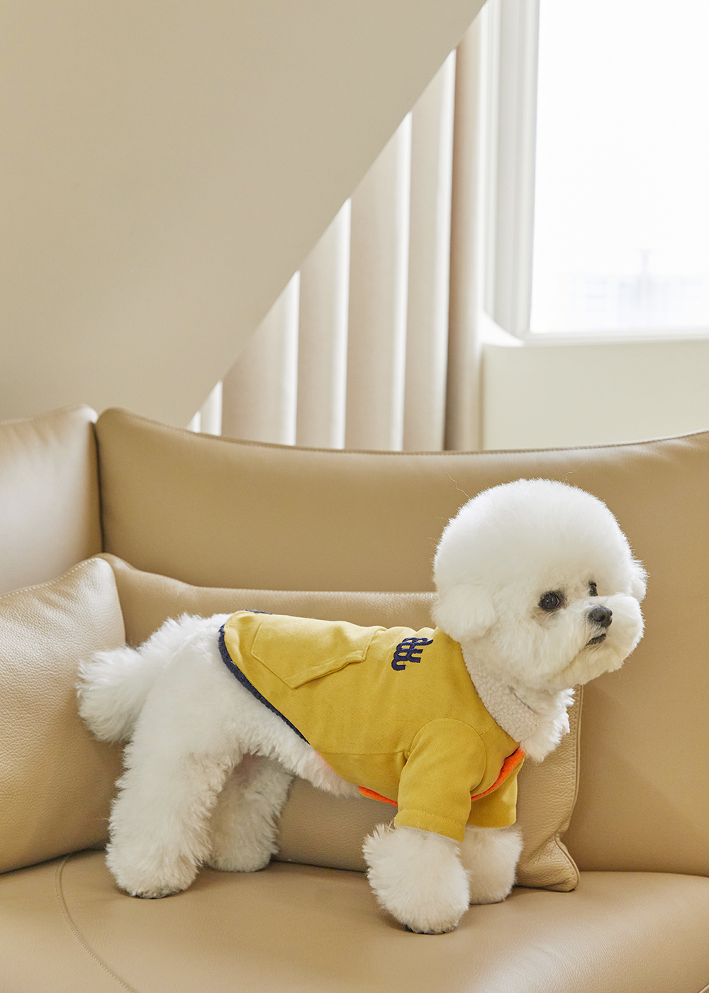 디어우 강아지 후리스 덤블 조끼 양면 패딩 입히기 편한 애견 겨울 옷