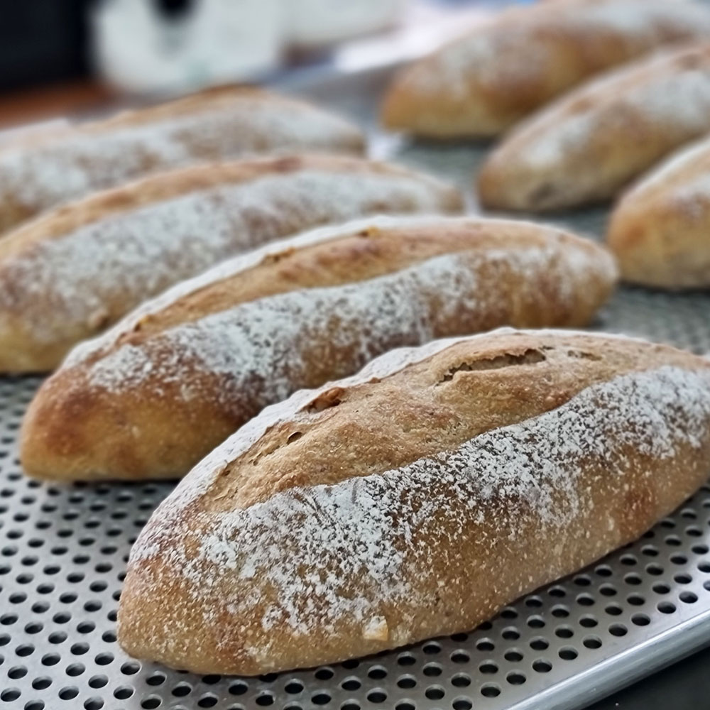 우리밀 100% 통밀빵 무설탕 누룩 천연발효빵 우리밀빵 통밀식빵 사워도우