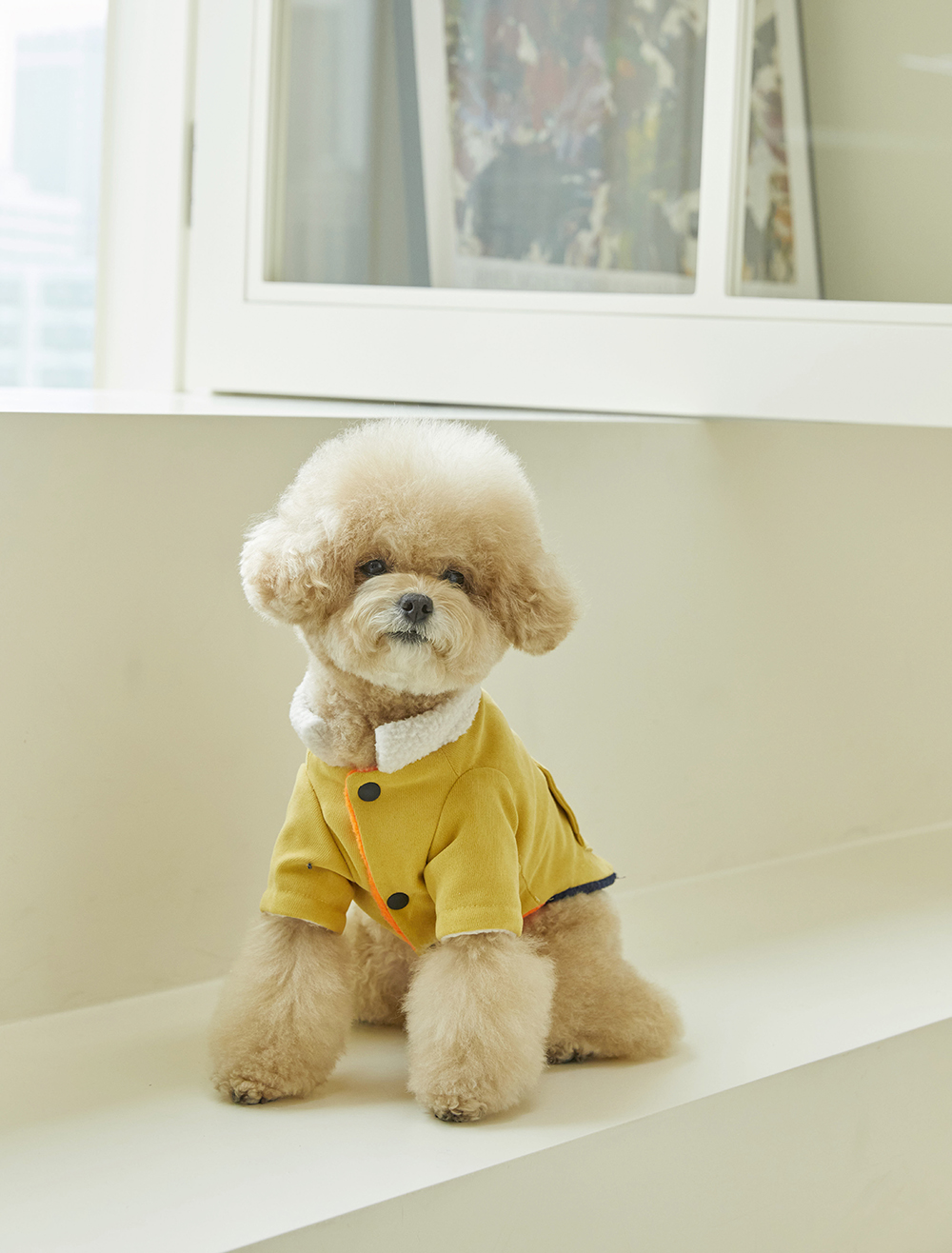 디어우 강아지 후리스 덤블 조끼 양면 패딩 입히기 편한 애견 겨울 옷