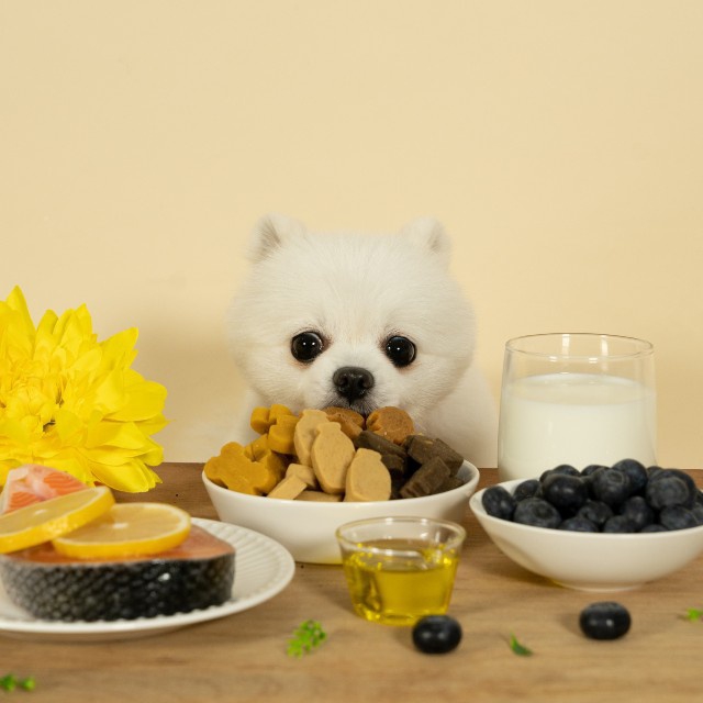 베터 댕댕츄정 오메가3 30개입 이미지 2